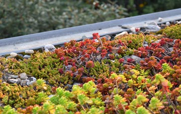 the cost of Ballachulish green roof installation