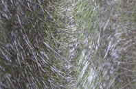 Ballachulish fibreglass roof work